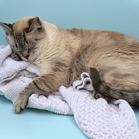 Gamine: noun; girl with mischievous or boyish charm. - Picture 8 of 16